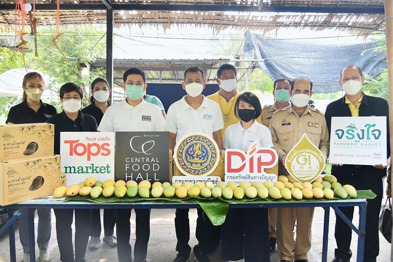 กรมทรัพย์สินทางปัญญา ร่วมกับ ท็อปส์ จำหน่ายมะม่วงน้ำดอกไม้