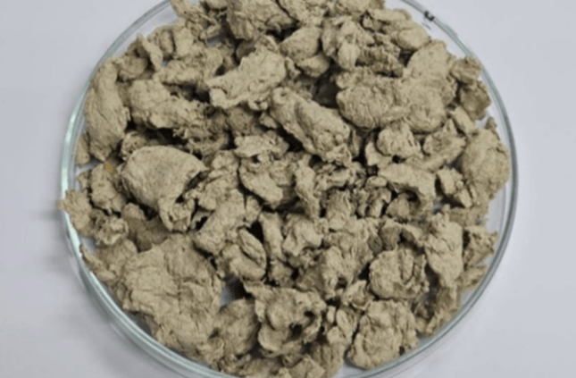 Biodegradable Active Packaging from Agricultural By-products: Extending Shelf Life and Reducing Food Waste